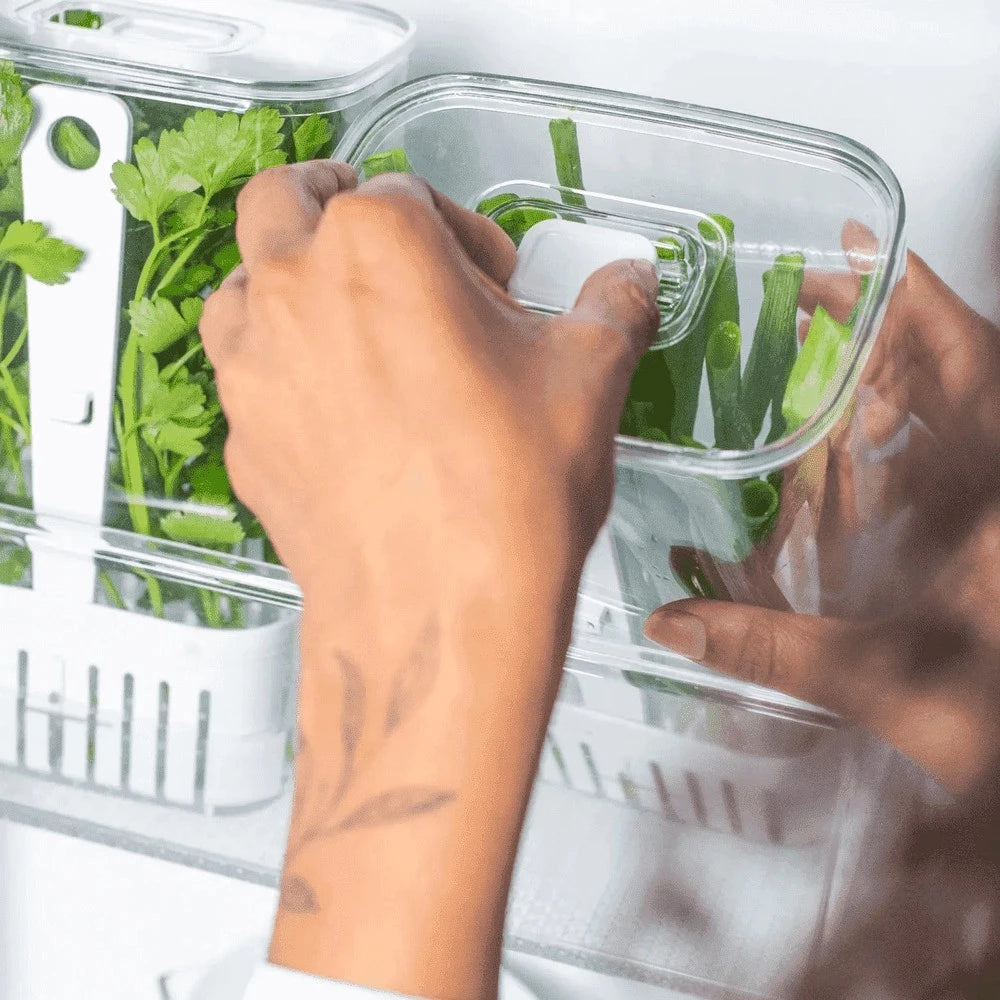 Visão geral de um frigorífico organizado com vários potes Artique alinhados nas prateleiras centrais.